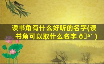 读书角有什么好听的名字(读书角可以取什么名字 🪴 )